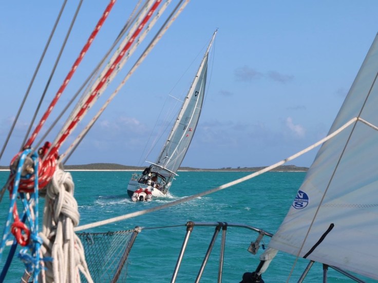 Log 10: Race to the&nbsp;Rock