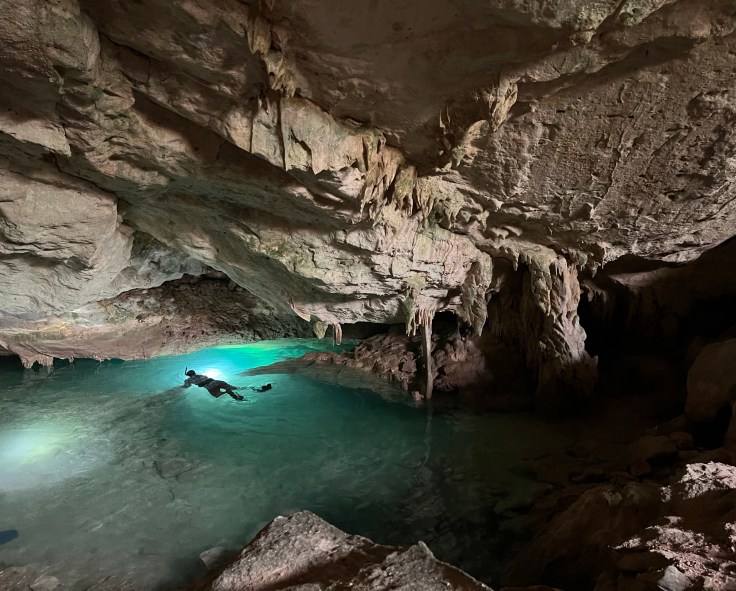 Log 11: Diving in Darkness with Flesh-Eating&nbsp;Shrimp